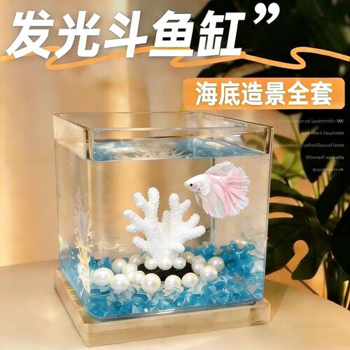 斗鱼专用缸小型玻璃鱼缸宿舍桌面治愈系小摆件带夜灯高级创意礼物