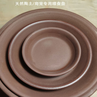 黄缘龟乌龟喂食盘半水龟安缘龟箱龟锯缘喂食龟苗专用餐盘食盆新品