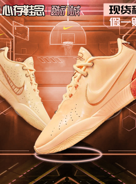 Nike耐克Lebron21勒布朗21代詹姆斯21代篮球鞋运动实战FV2346-800