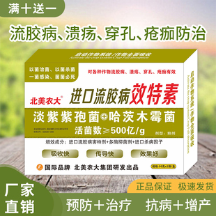 进口流胶病特效素流胶病杀菌剂果树樱桃树西瓜黄瓜流胶病专用药剂