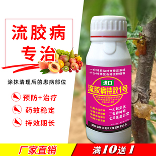 进口流胶病特效1号杀菌剂 流胶病专用药桃树黄瓜樱桃树流胶病杀菌