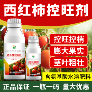 西红柿控旺剂番茄专用控旺药防陡长矮化植株不控果生根壮苗效果好