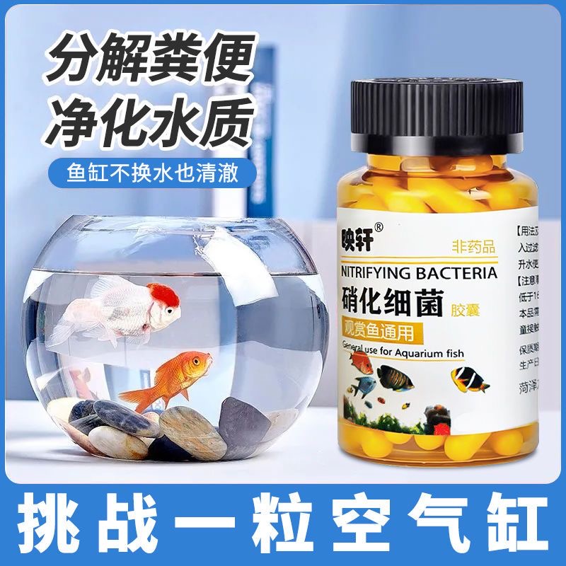 拍一发三鱼缸硝化细菌胶囊清理养鱼净化水质稳定剂分解鱼粪消化