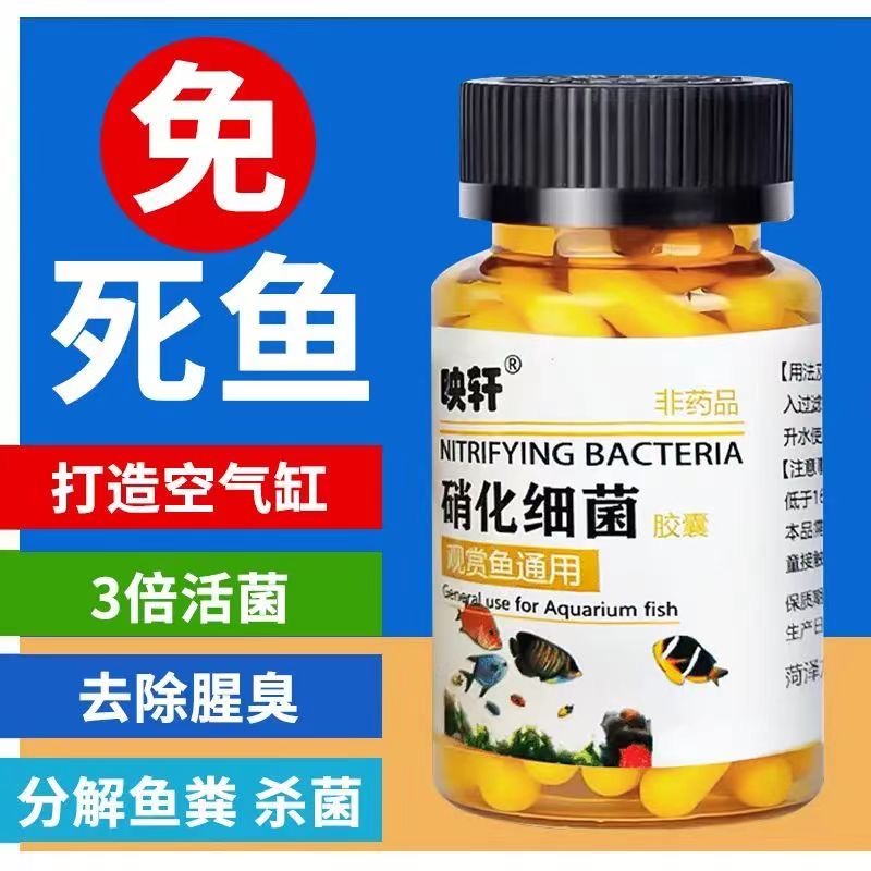 工厂直发硝化细菌生物活菌净化水质的药鱼缸用水族箱净水剂浓缩