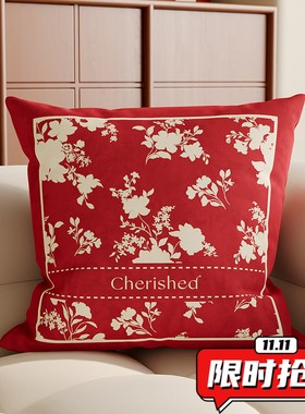 喜庆新年抱枕沙发含芯枕套靠枕婚庆红色结婚卧室客厅过年网红DA98