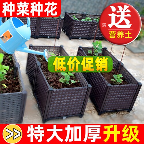 种菜专用箱简约塑料花盆
