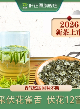 2026蒙顶雀舌茉莉花茶 伏花雀舌  茉莉雀舌特级花茶