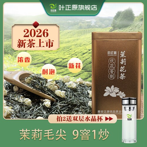 2026新茶茉莉毛尖飘雪浓香型