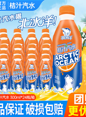 北冰洋桔子汽水300ml*24瓶整箱