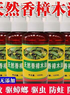 天然香樟木油防蛀驱蚊虫虻驱蟑螂蚂蚁抑菌止痒绘油画用樟脑树精油