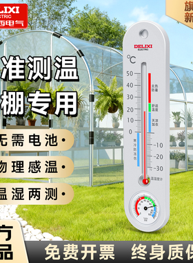 德力西温湿度计蔬菜大棚种植养殖专用室内精准高精度壁挂式温度计