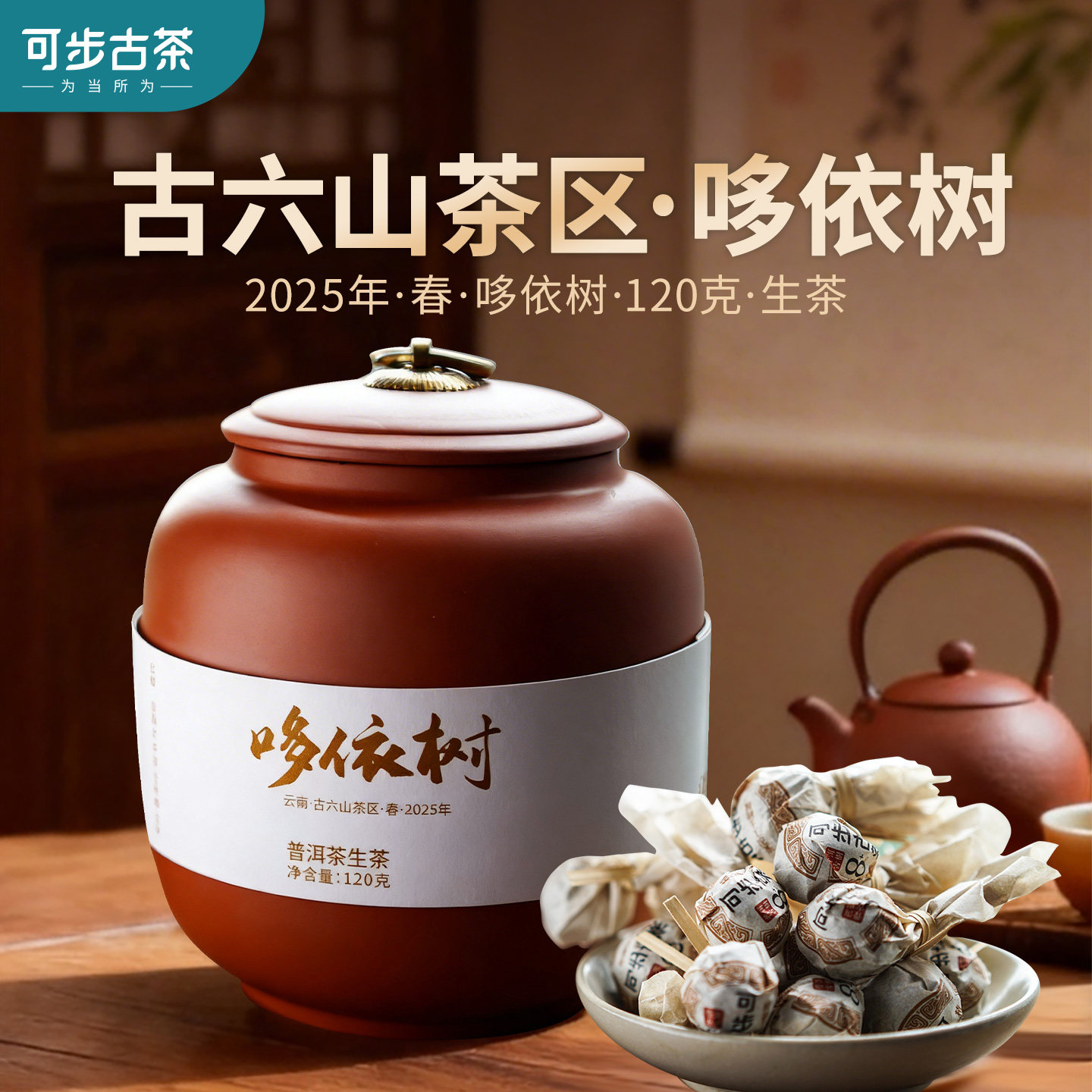 可步 哆依树·二类古树龙珠茶 2025年云南普洱古树春茶生茶120克