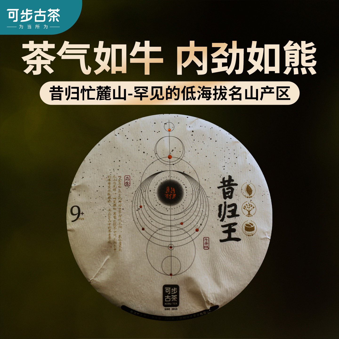 可步茶叶 9系·昔归王 2026年云南古树普洱茶生茶饼母树级200克饼