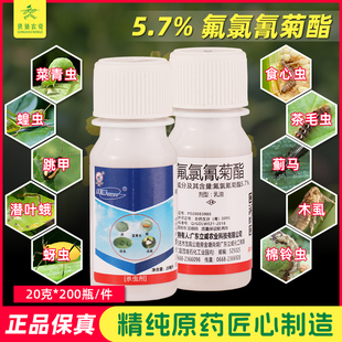 广东立威5.7%氯氟氰菊酯 拜得百树菊酯玉米花生土蚕地下上杀虫剂