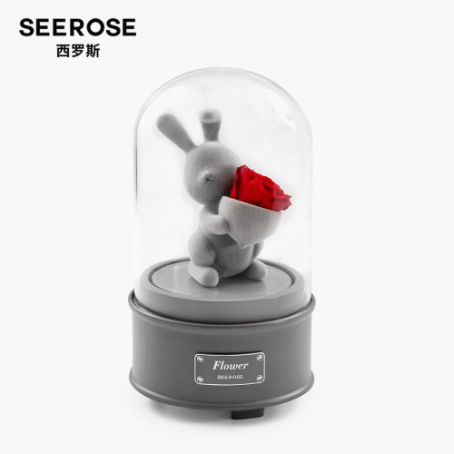 SEEROSE告白兔永生花生日礼物