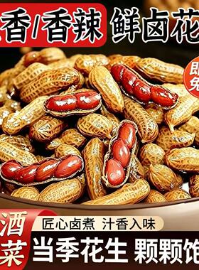 水煮花生五香卤汁带壳开袋即食大颗粒下酒菜零食小吃卤煮卤味