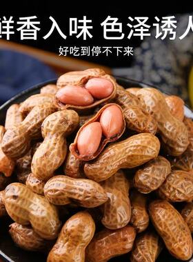 水煮花生带壳五香卤煮花生大颗粒开袋即食烧烤啤酒伴侣下酒菜