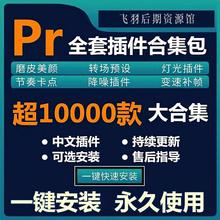 Pr全套插件合集中文一键安装包磨皮调色补帧转场预设特效软件素材