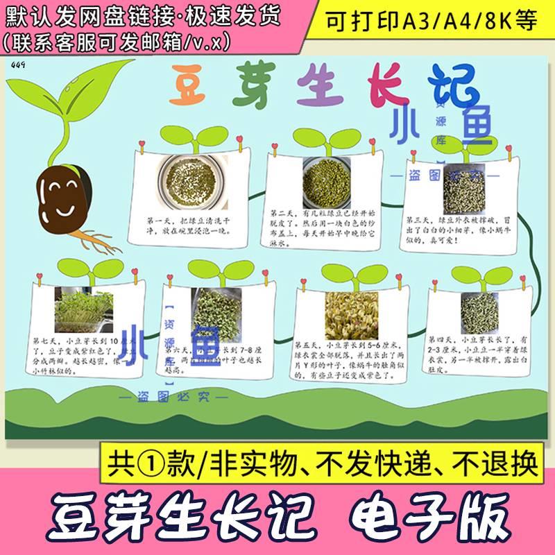 自然笔记小报豆芽植物成长记录手抄报蒜苗生长观察日记a34电子版
