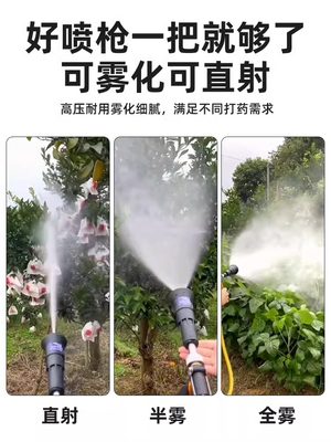 HUIYUAN/徽源 喷雾器喷水枪高压可调家用园艺喷淋浇花神器农用