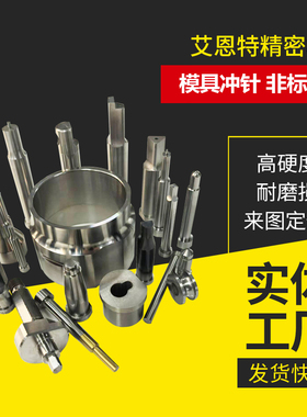 A冲常规T冲五金模具冲针冲头SKH51 SKD11 SKH9非标定制各类冲针