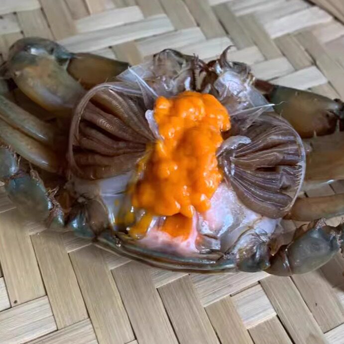 膏蟹羔蟹蝤蠓红鲟鲜活红膏蟹螃蟹青蟹肉蟹500克4-5只装不能放冰箱
