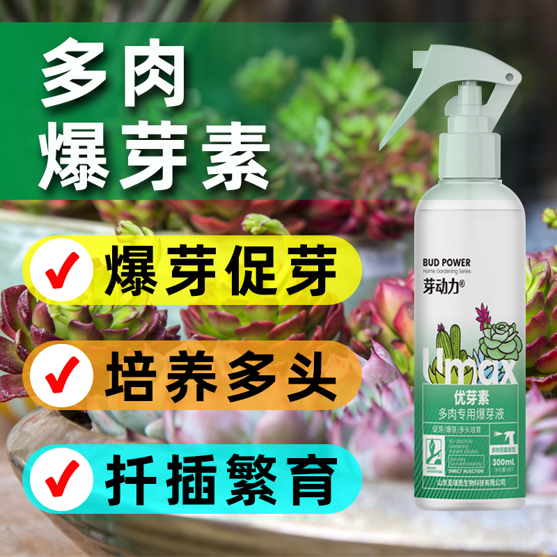 多肉优芽素优芽素多头素促花促芽