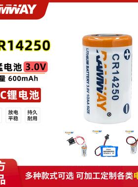 RAMWAY睿奕CR14250智能马桶坐便器永宏PLC工控设备控制柜3V锂电池