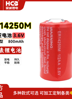 HCB昊诚ER14250M温控器电子标签CO报警仪胰岛素泵3.6V锂电池1/2AA