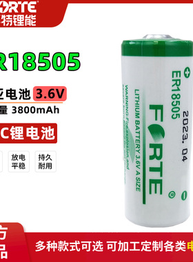 FORTE孚特ER18505智能水表暖气热力表流量计烟雾报警器3.6V锂电池