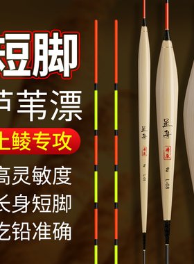 正品手工带壳芦苇浮漂醒目高灵敏轻口短脚土鲮鱼漂野钓黑坑鲤鱼漂