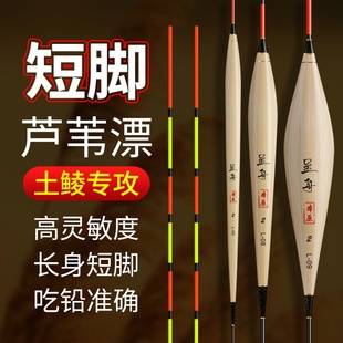 正品手工带壳芦苇浮漂醒目高灵敏轻口短脚土鲮鱼漂野钓黑坑鲤鱼漂