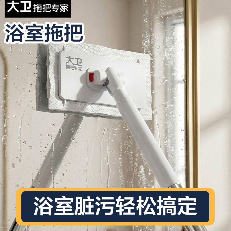 夹布拖把2026新款浴室拖把神器家用厨房擦墙打扫卫生可夹抹布大卫