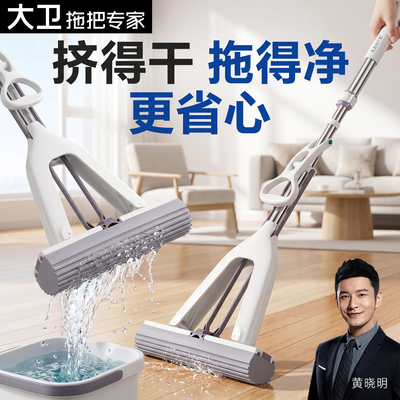 大卫海绵拖把浴室吸水一拖净懒人