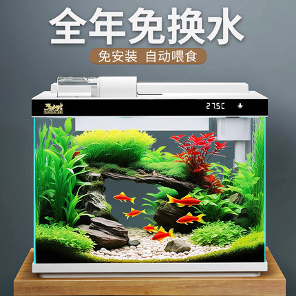 森森2024新款鱼缸超白玻璃客厅小型家用水族箱生态免换水过滤金鱼