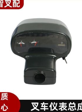 TCMFD20/30 Z5 叉车仪表总成 217G2-40301