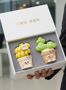 卡通可爱树脂多肉桌面摆件礼盒