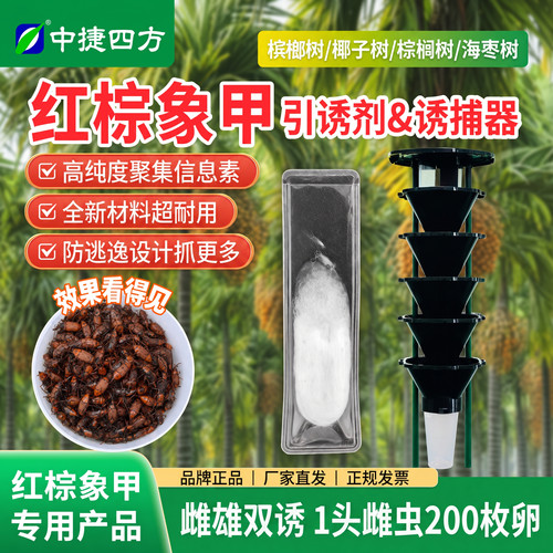 中捷四方红棕象甲诱芯诱捕器