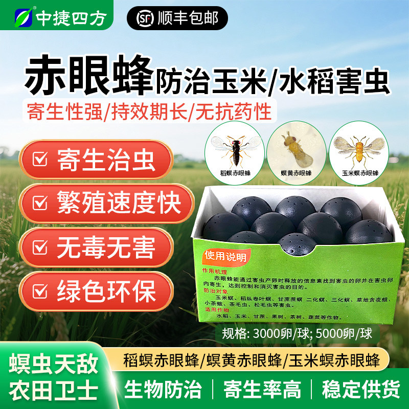 福建艳旋赤眼蜂球蜂卡稻螟 螟黄赤眼蜂 玉米螟二化螟天敌寄生蜂,农用物资,捕食螨/寄生蜂,淘宝优惠券,粉丝福利购,淘宝优惠卷