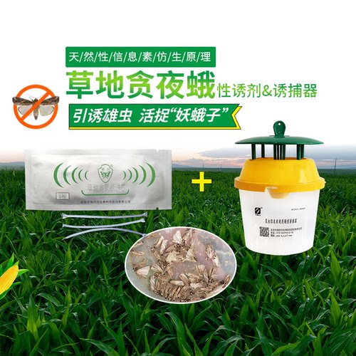 中捷四方草地贪夜蛾诱捕器性