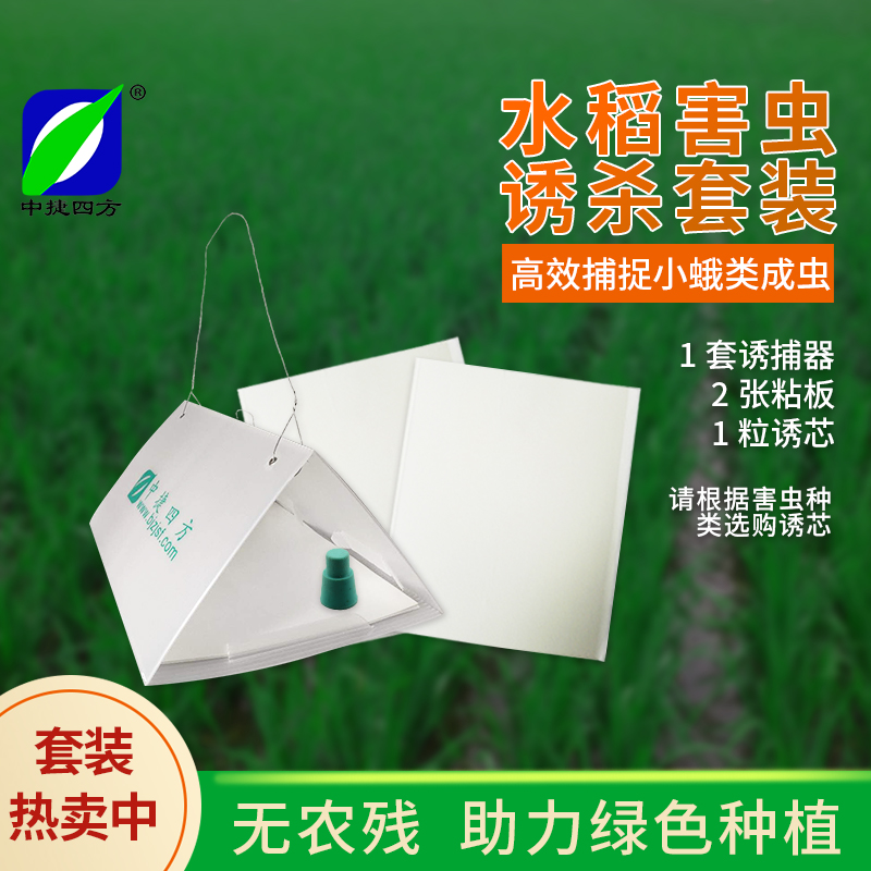 害虫三角套装稻纵卷叶螟诱捕器