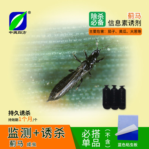 中捷四方蓟马信息素诱芯诱剂烟蓟马葱蓟马西花蓟马等