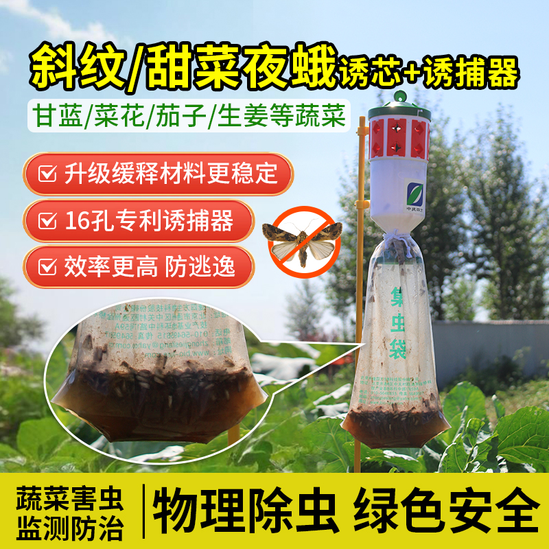 斜纹夜蛾诱芯诱捕器套装性诱剂