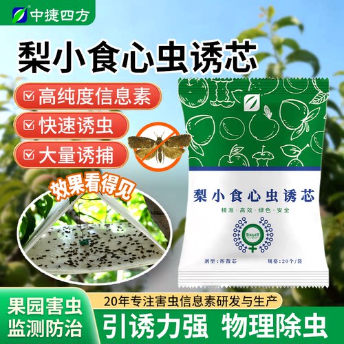 四方性诱剂香梨钻心虫