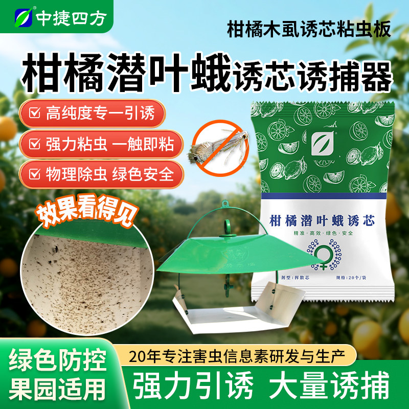 中捷四方柑橘潜叶蛾性信息素诱芯性诱剂柑橘木虱
