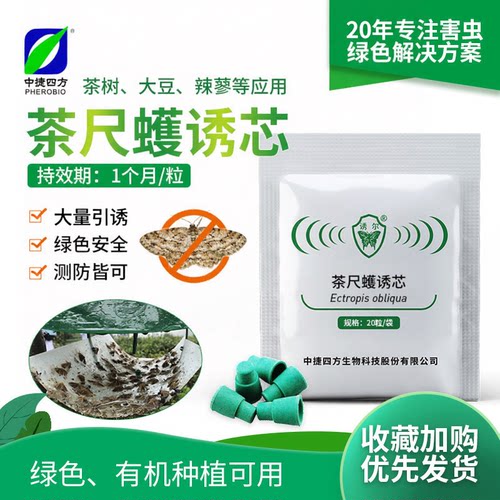 中捷四方性诱剂诱芯茶毛虫茶尺蠖