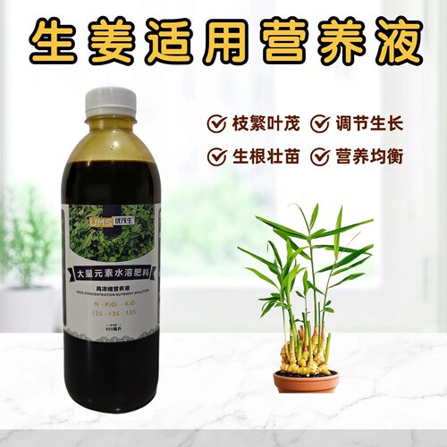 生姜营养液浓缩水溶肥料