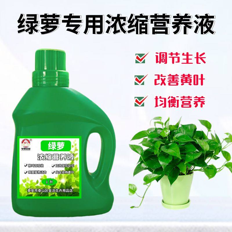 绿萝专用浓缩营养液体盆栽水培绿植物箩叶片黄通用氮磷钾养花肥料,鲜花速递/花卉仿真/绿植园艺,家庭园艺肥料,淘宝优惠券,粉丝福利购,淘宝优惠卷