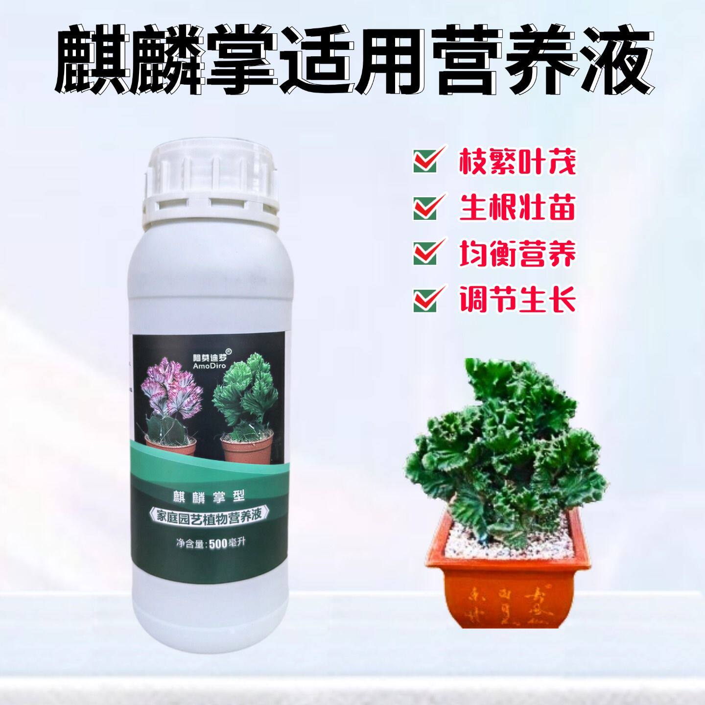 麒麟掌浓缩营养液氮磷钾花肥料图片
