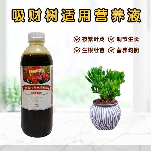 吸财树营养液大量元素水溶花肥料
